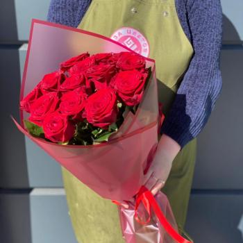 Красные розы 60 см 15 шт. (Россия) код  75369chb