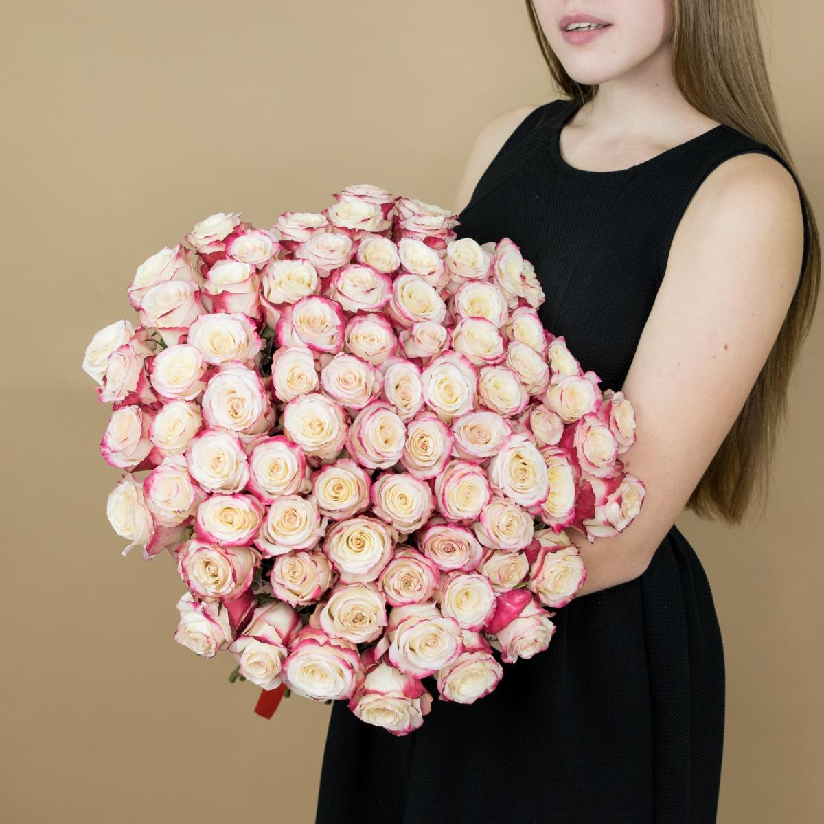 Розы красно-белые (40 см) Эквадор Артикул  111che