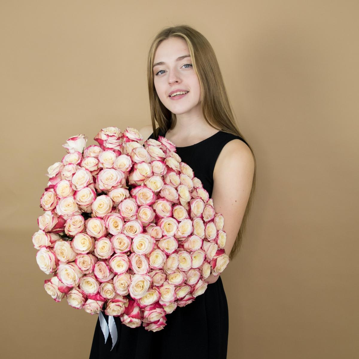 Розы красно-белые (40 см) Эквадор Артикул  111che