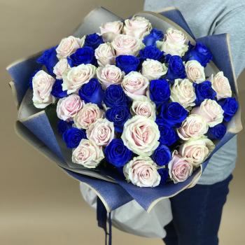 Белая и Синяя Роза 51шт 70см (Эквадор) (код: 25382chb)